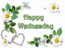 Happy Wednesday