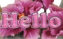 comment