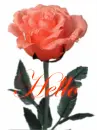 comment