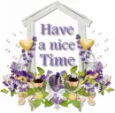 Have a nice time