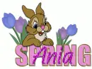Ania