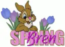 Bren
