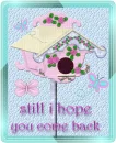 birdHouse (still i hope u come back)