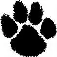 the dog
