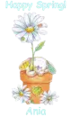 Spring Bunny - Ania