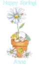 Spring Bunny - Anna