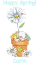 Spring Bunny - Carla