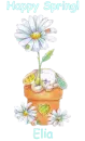 Spring Bunny - Elia