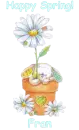 Spring Bunny - Fran