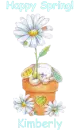 Spring Bunny - Kimberly