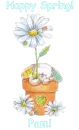 Spring Bunny - Pami