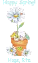 Spring Bunny - Rita