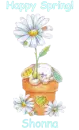 Spring Bunny - Shonna