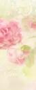 SPRING FLOWERS