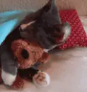 â˜†KiTtYâ™¥TeDdYâ˜†