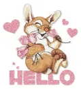 Hello <bunny>