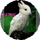 Heather-BunnyBird