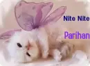 nite nite parihan