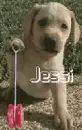 Jessi