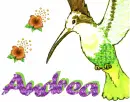 Andrea Bird