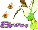 Bren Bird