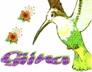 Giina Bird