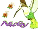 Nicky Bird