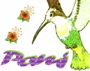 Pami Bird