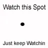 Spot