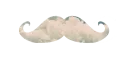 Mustache