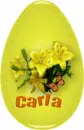 Carla