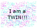 twin 