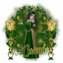 Carina - Wild Irish Rose
