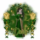 Darla - Wild Irish Rose