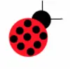 ladybug (moving)