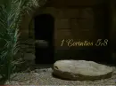 Wishing you a blessed  Easter