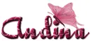 Andina