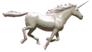 Unicorn running