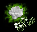flower with name
