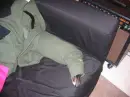 dog in shirt