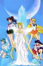 Senshi Background