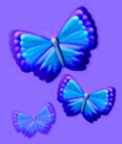 Borboletas