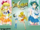 Sailor Venus and Sailor Mercury