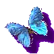 Morpho