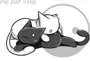 yin and yang