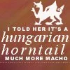 harry potter-hungarian horntail
