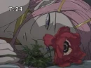 Anemone