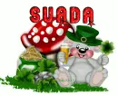 suada