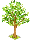 tree