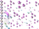 stars